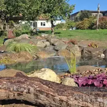 Trustindex feed video, shared by drops_aquatics_ponds on Instagram on September 26, 2026.