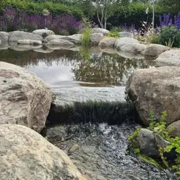 Trustindex feed image, shared by drops_aquatics_ponds on Instagram on July 24, 2026.