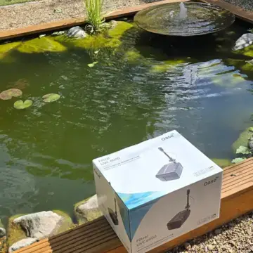 Trustindex feed image, shared by drops_aquatics_ponds on Instagram on June 13, 2026.