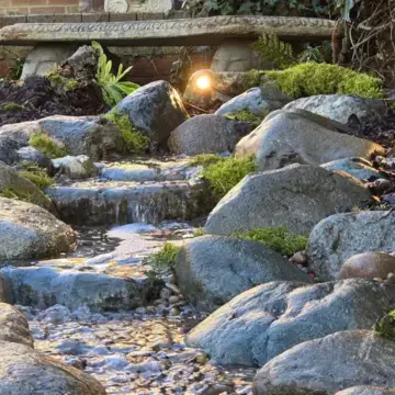 Trustindex feed image, shared by drops_aquatics_ponds on Instagram on August 14, 2026.