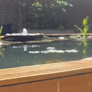 Trustindex feed video, shared by drops_aquatics_ponds on Instagram on May 30, 2026.