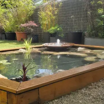 Trustindex feed image, shared by drops_aquatics_ponds on Instagram on May 30, 2026.