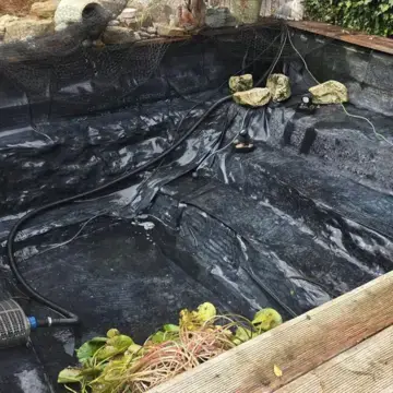 Trustindex feed image, shared by drops_aquatics_ponds on Instagram on August 18, 2026.