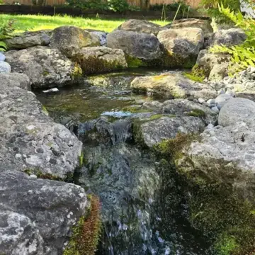 Trustindex feed image, shared by drops_aquatics_ponds on Instagram on August 14, 2026.