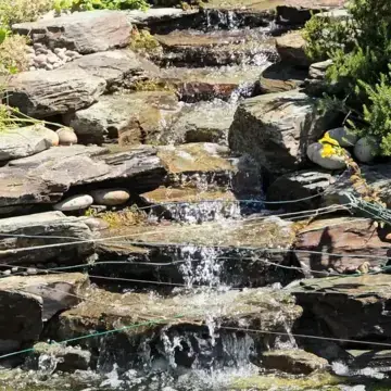 Trustindex feed video, shared by drops_aquatics_ponds on Instagram on July 02, 2026.