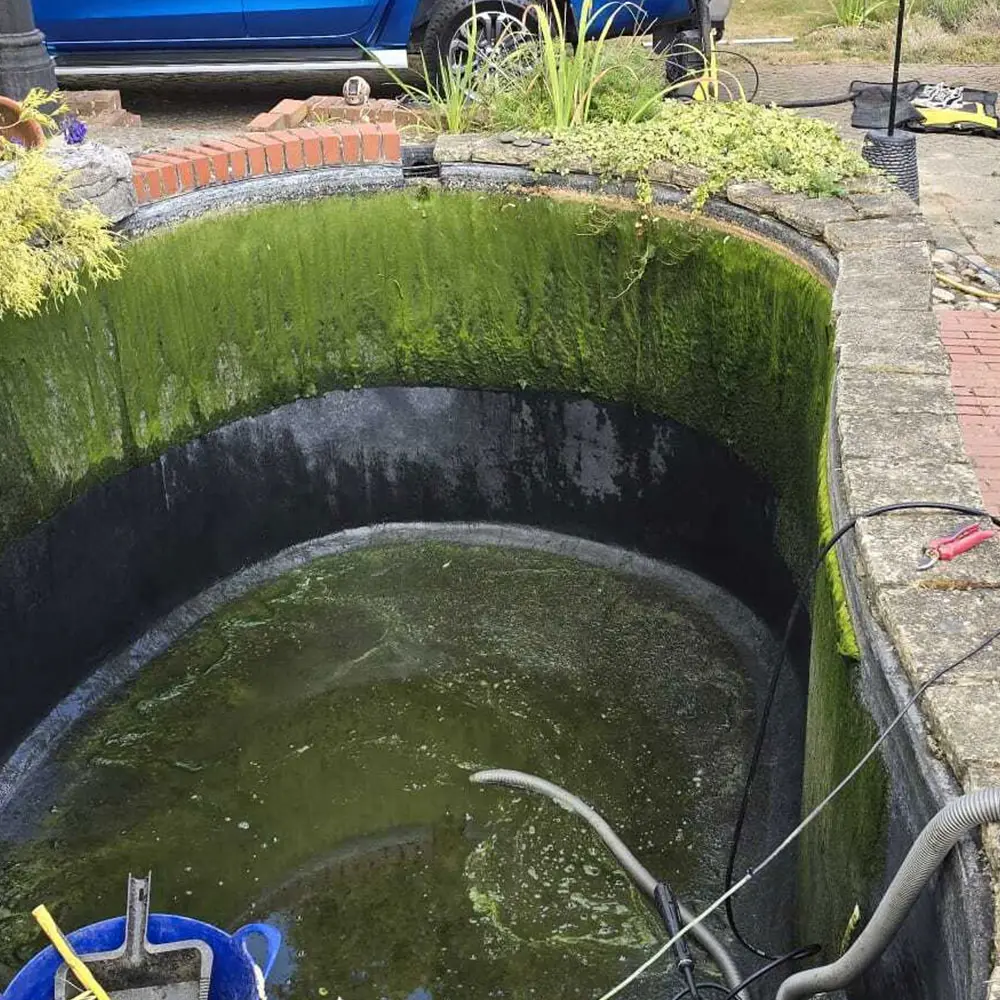 Drops Aquatics Ponds & Water Features | Pond & Water Feature Installation | Pond Maintenance | Filter Installation & Advice | Aquatic Planting | Water Testing | Fibreglass Services | Full Design Services