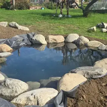 Trustindex feed image, shared by drops_aquatics_ponds on Instagram on September 26, 2026.