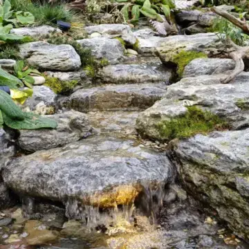 Trustindex feed image, shared by drops_aquatics_ponds on Instagram on August 14, 2026.