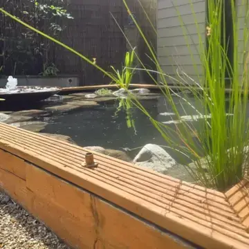 Trustindex feed image, shared by drops_aquatics_ponds on Instagram on May 30, 2026.