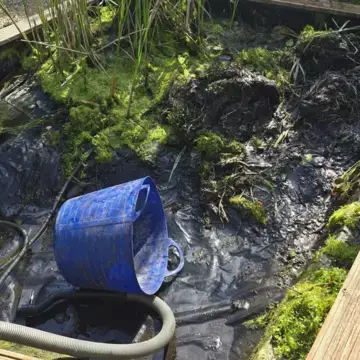 Trustindex feed image, shared by drops_aquatics_ponds on Instagram on May 30, 2026.