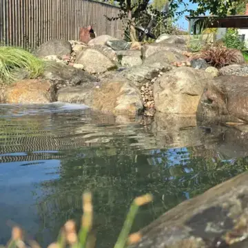 Trustindex feed image, shared by drops_aquatics_ponds on Instagram on September 26, 2026.