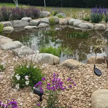 Trustindex feed image, shared by drops_aquatics_ponds on Instagram on July 24, 2026.
