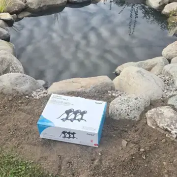 Trustindex feed image, shared by drops_aquatics_ponds on Instagram on September 28, 2026.