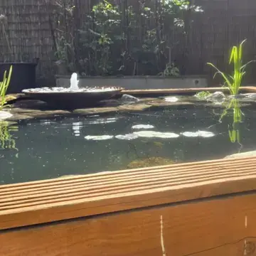 Trustindex feed image, shared by drops_aquatics_ponds on Instagram on May 30, 2026.