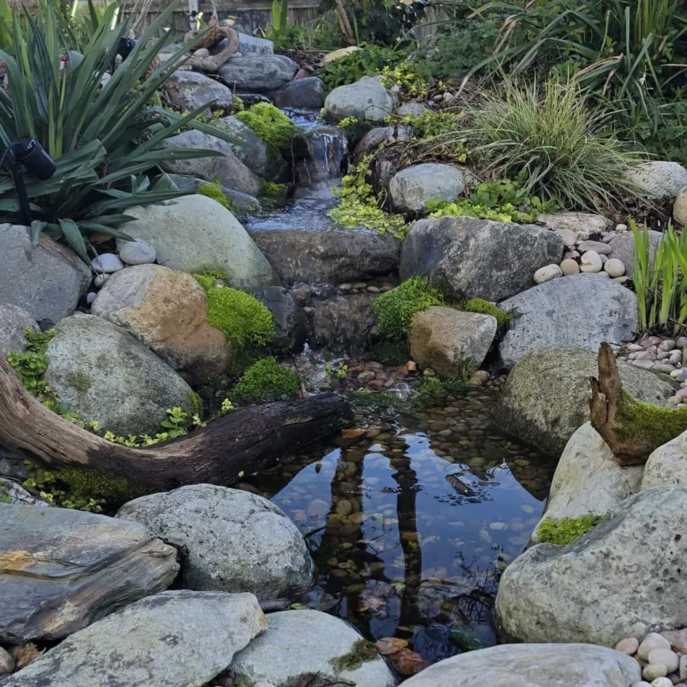 Drops Aquatics Ponds & Water Features | Pond & Water Feature Installation | Pond Maintenance | Filter Installation & Advice | Aquatic Planting | Water Testing | Fibreglass Services | Full Design Services