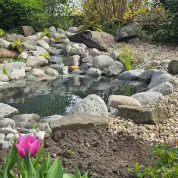 Trustindex feed image, shared by drops_aquatics_ponds on Instagram on August 14, 2026.