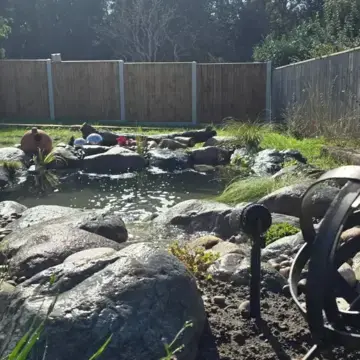 Trustindex feed image, shared by drops_aquatics_ponds on Instagram on September 26, 2026.