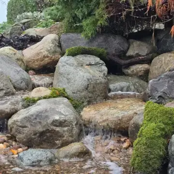 Trustindex feed image, shared by drops_aquatics_ponds on Instagram on August 14, 2026.