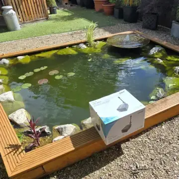 Trustindex feed image, shared by drops_aquatics_ponds on Instagram on June 13, 2026.