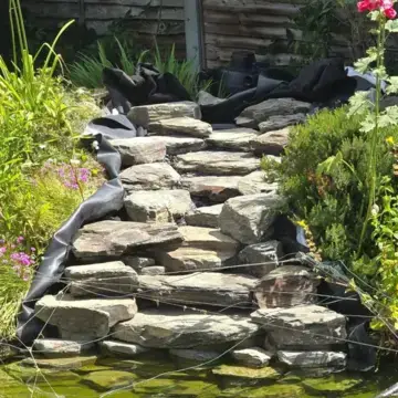 Trustindex feed image, shared by drops_aquatics_ponds on Instagram on July 02, 2026.