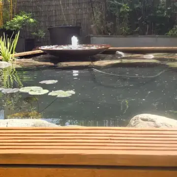 Trustindex feed image, shared by drops_aquatics_ponds on Instagram on May 30, 2026.