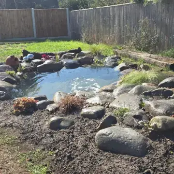 Trustindex feed image, shared by drops_aquatics_ponds on Instagram on September 26, 2026.