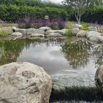 Trustindex feed image, shared by drops_aquatics_ponds on Instagram on July 24, 2026.