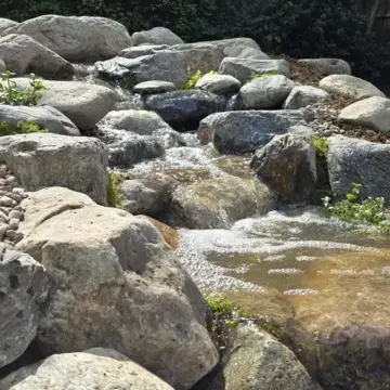 Trustindex feed image, shared by drops_aquatics_ponds on Instagram on August 14, 2026.