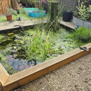 Trustindex feed image, shared by drops_aquatics_ponds on Instagram on May 30, 2026.
