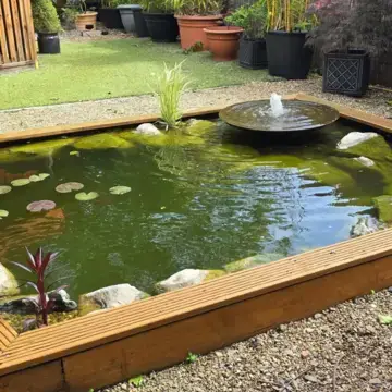 Trustindex feed image, shared by drops_aquatics_ponds on Instagram on June 13, 2026.