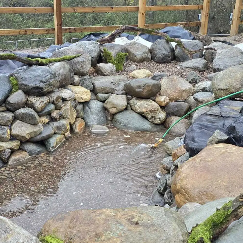 Drops Aquatics Ponds & Water Features | Pond & Water Feature Installation | Pond Maintenance | Filter Installation & Advice | Aquatic Planting | Water Testing | Fibreglass Services | Full Design Services