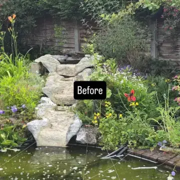 Trustindex feed image, shared by drops_aquatics_ponds on Instagram on July 02, 2026.