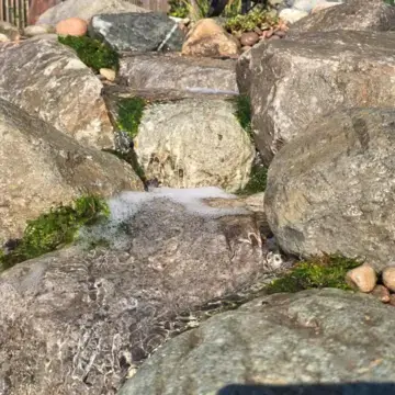 Trustindex feed image, shared by drops_aquatics_ponds on Instagram on September 26, 2026.